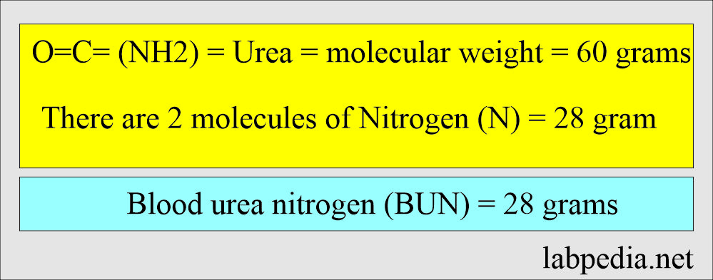 Blood urea nitrogen (BUN) formula