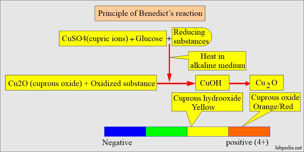 Glucose in Urine (Glycosuria): The principle of Benedict's reaction 