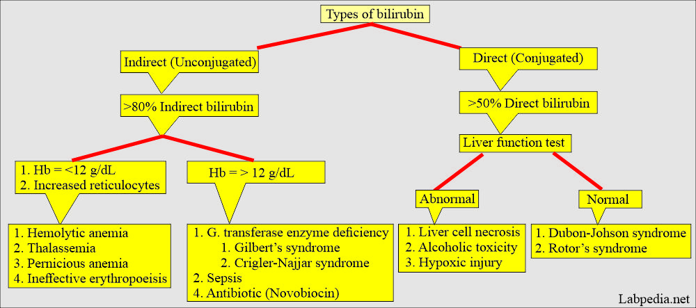 Bilirubin differential diagnosis