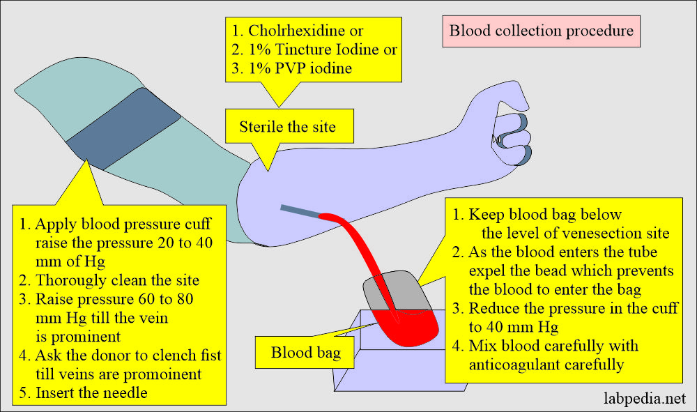 Summary of the Blood collection procedure