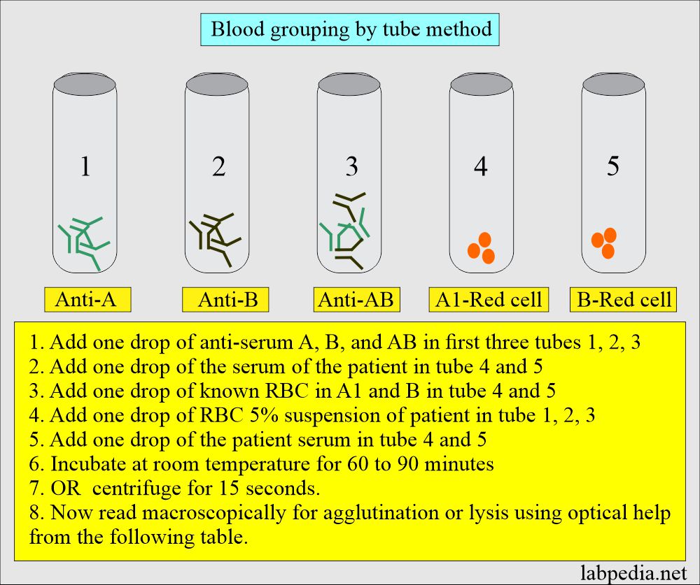 Blood grouping tube method