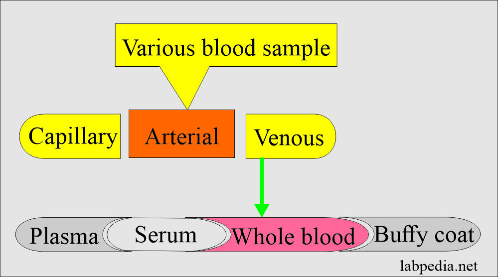 How to Handle Various Specimens: Blood sample types