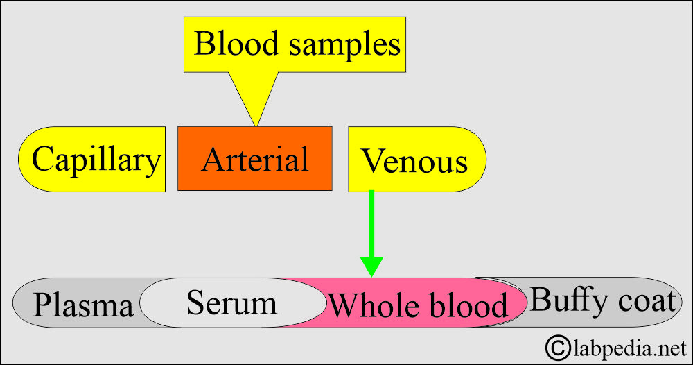 Blood sample types