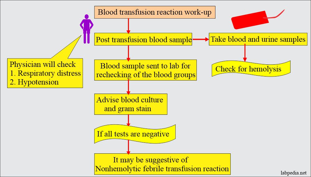 Blood transfusion reaction summary and workup