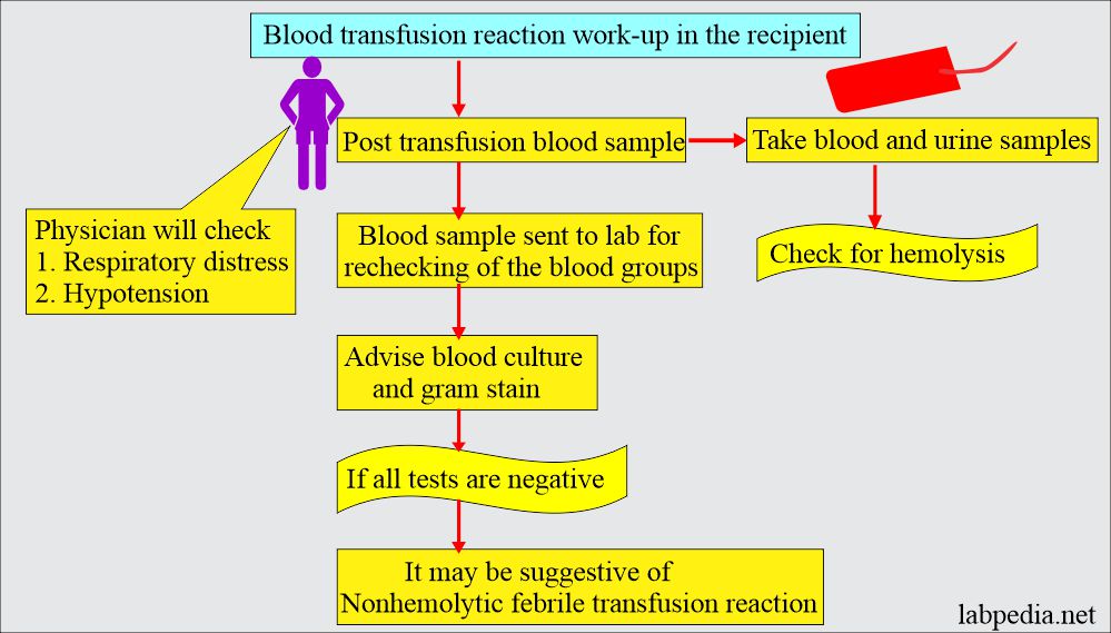 Blood transfusion reaction in the recipient