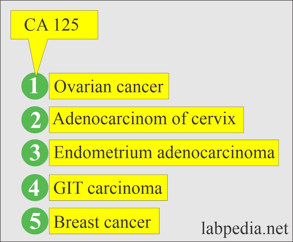 CA 125 positivity in various tumors