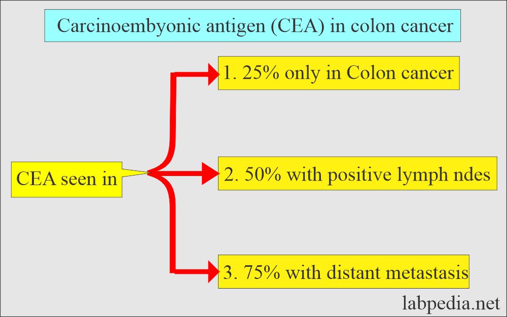 Carcinoembryonic Antigen (CEA) in colon cancer