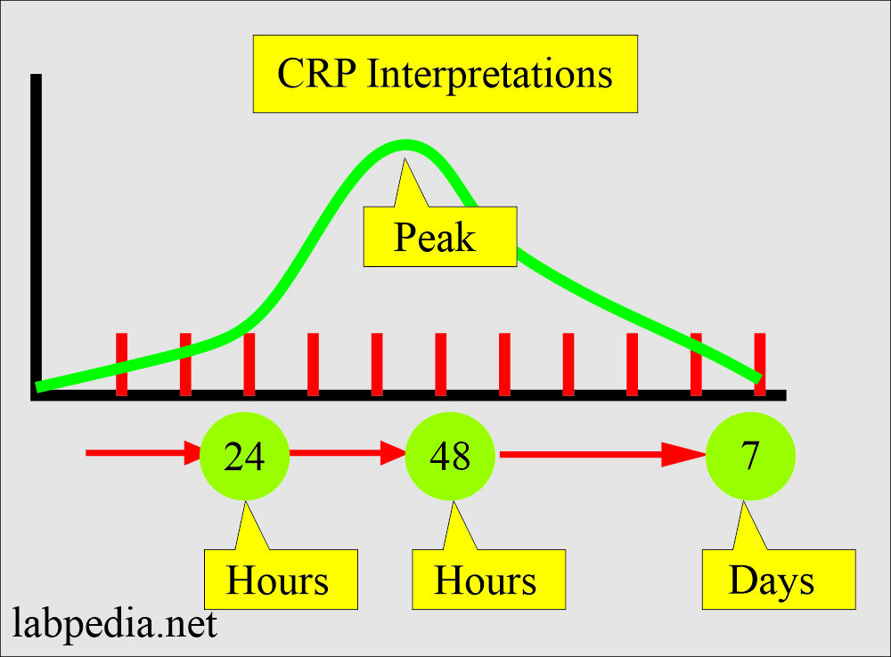 Erythrocyte Sedimentation Rate (ESR), vs C-Reactive Protein (CRP)