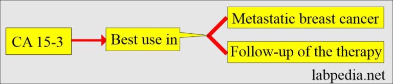 Tumor Markers CA 15 3 Is Used To Monitor The Breast Cancer