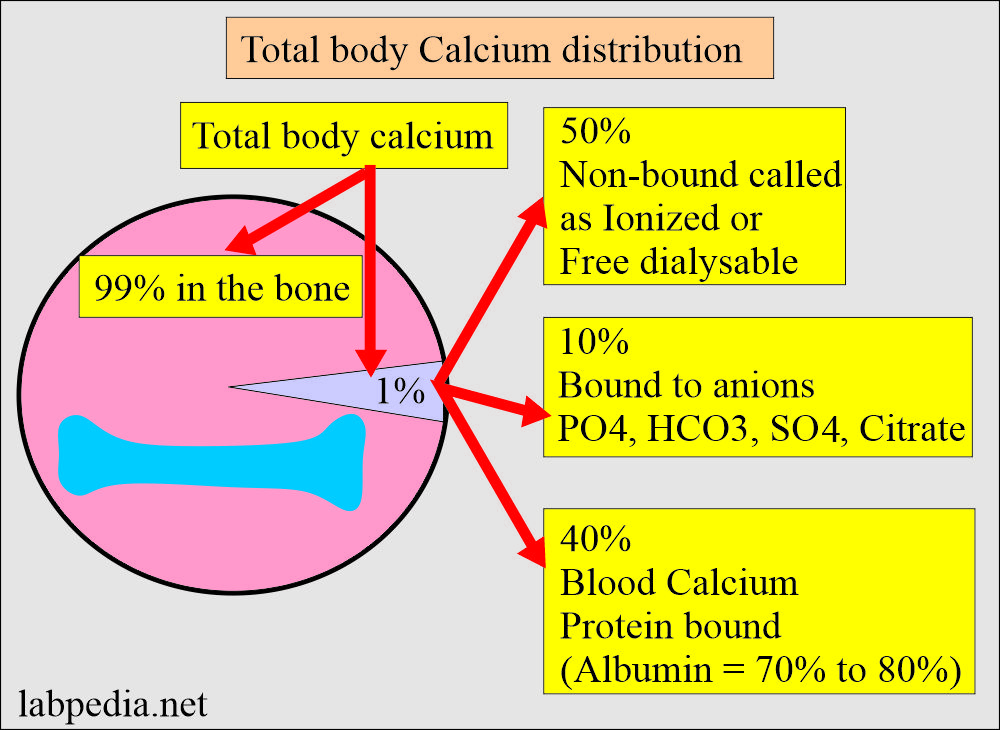 Ionized calcium: Calcium distribution in the body
