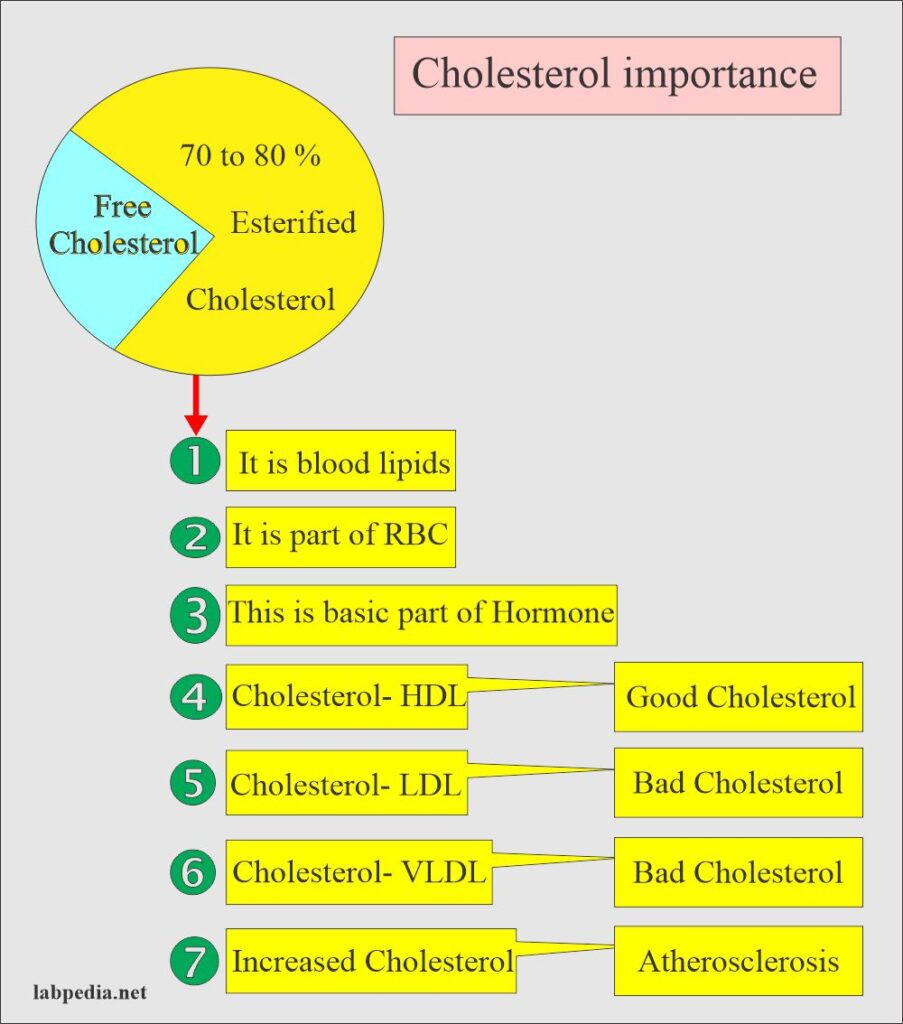 Cholesterol (Serum Cholesterol)