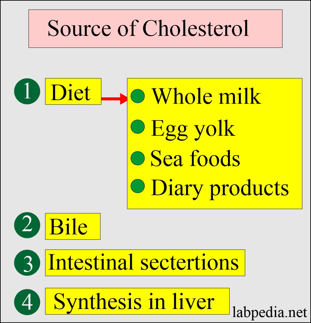 Cholesterol sources