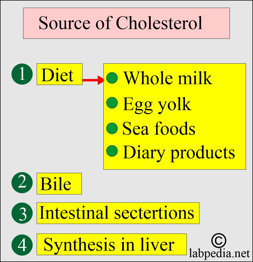 Cholesterol sources Cholesterol sources