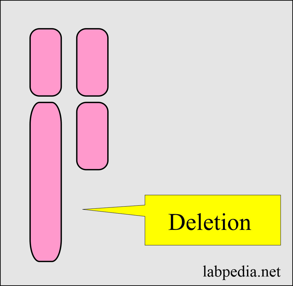 Chromosome deletion