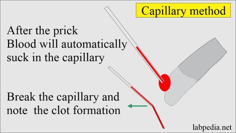 principle of clotting time experiment