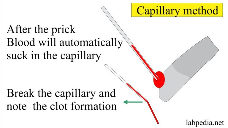 clotting time experiment