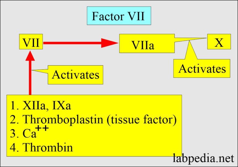 blood coagulation factors and interpretations