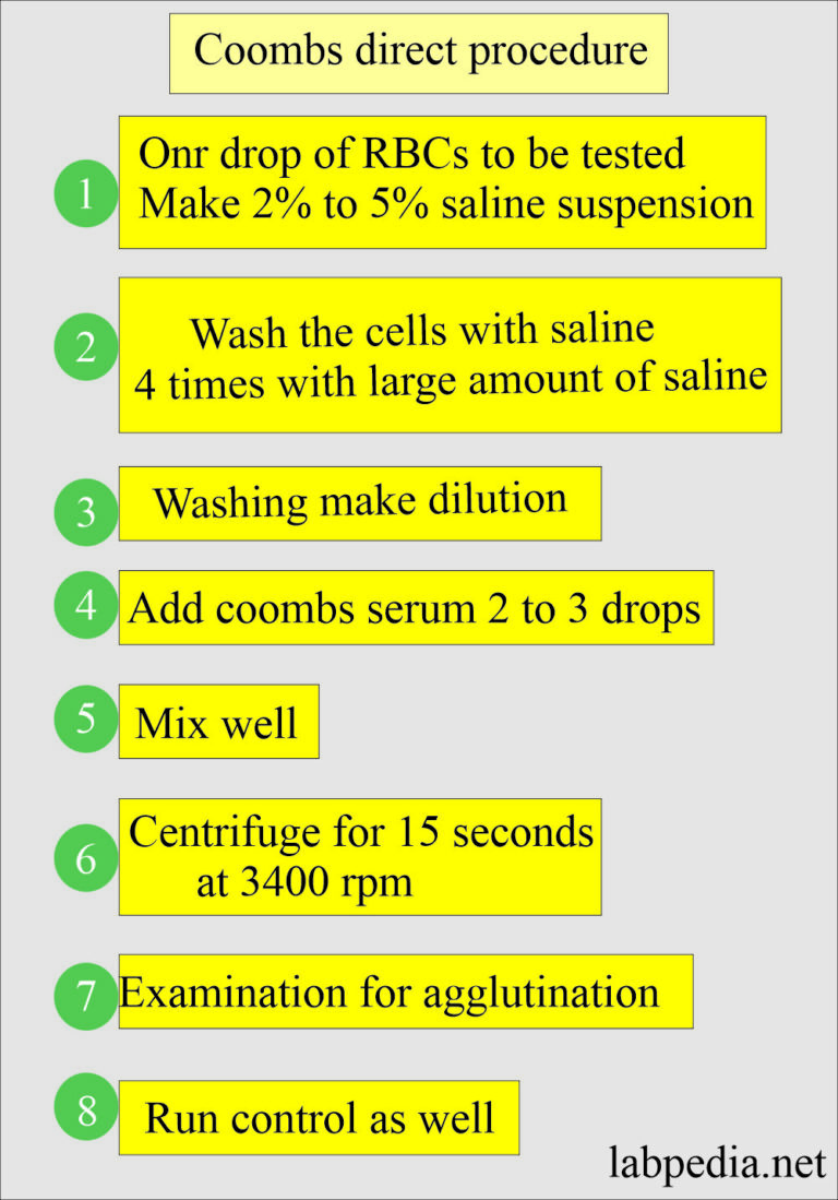 Coombs Test Direct For The Detection Of Antibody