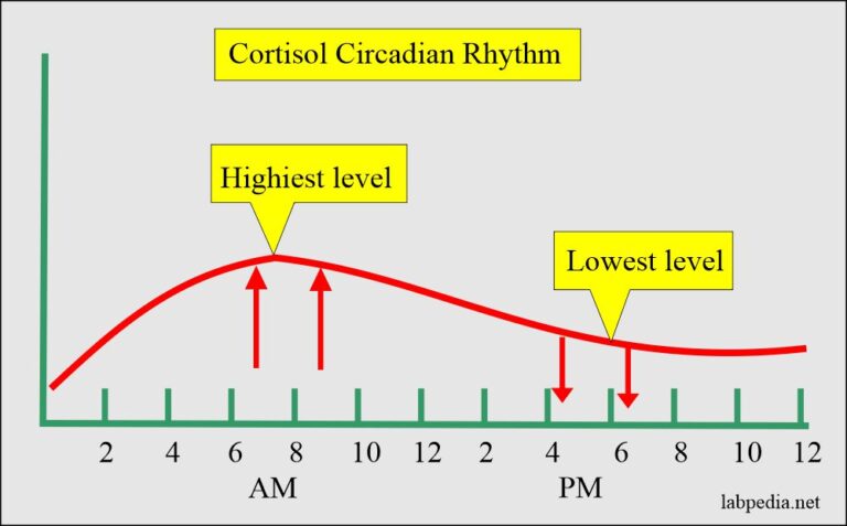 Adrenal Gland Hormones Interpretation, (Cortisol and Aldosterone ...