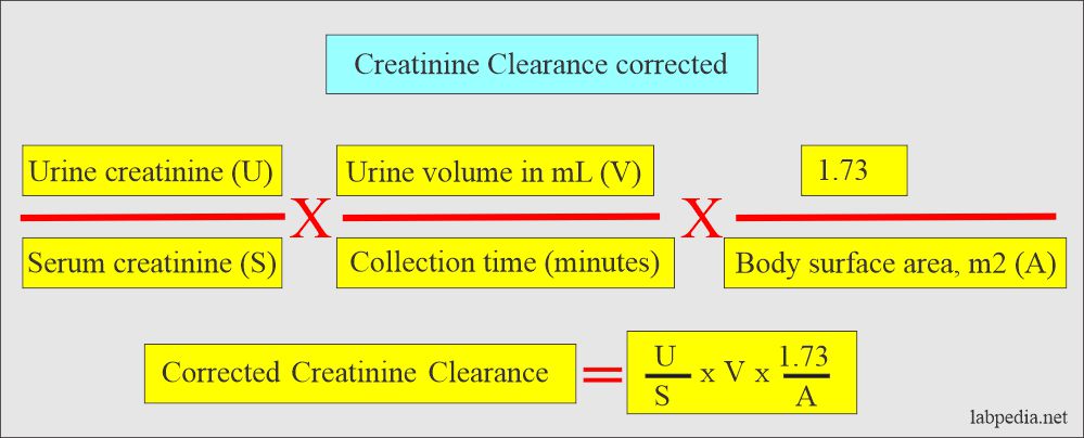 Corrected formula of Creatinine clearance 