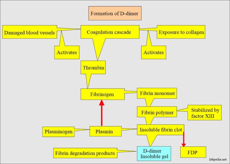 Ddimer test , diagnosis of DIC