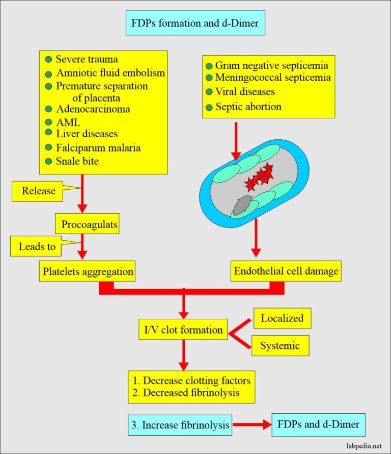 Fibrinogen Degradation Products (FDPs), Fibrin Split Products