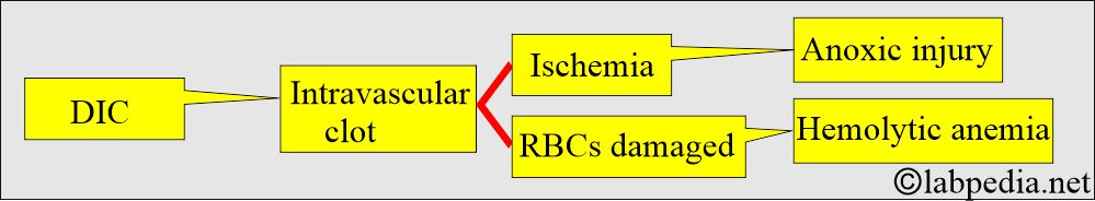 DIC complications DIC complications