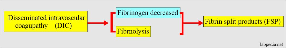 Fibrinogen (Factor 1): Fibrinogen level in DIC