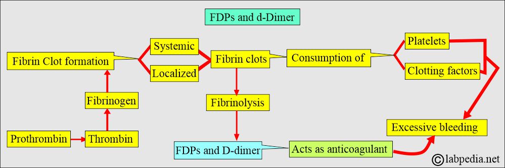DIC mechanism DIC mechanism