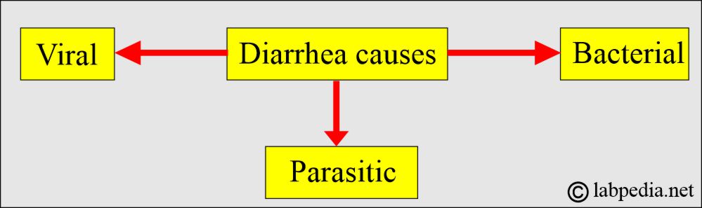 How to diagnose Diarrhea: Diarrheal causes How to diagnose Diarrhea: Diarrheal causes