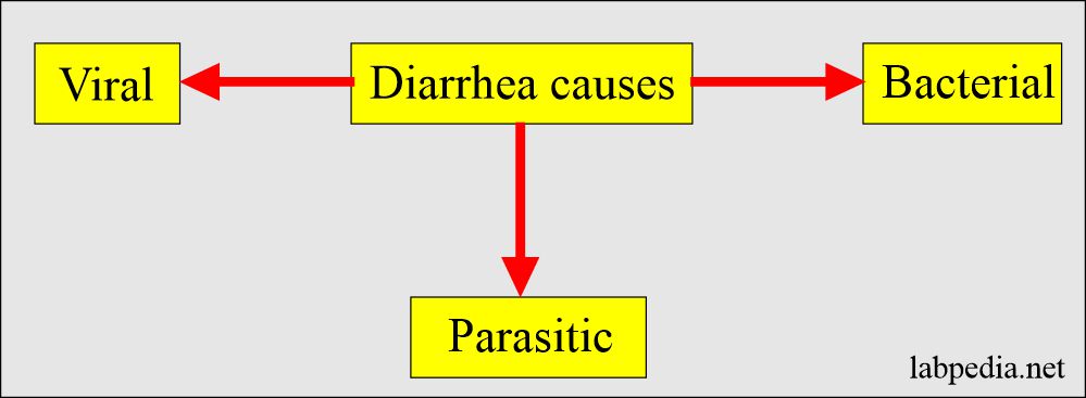 How to diagnose Diarrhea?: Diarrheal causes