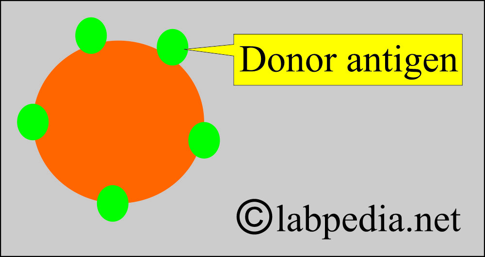 Donor antigen
