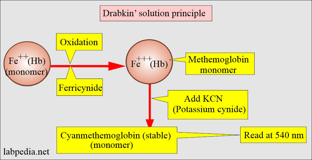 Drabkin's solution principle