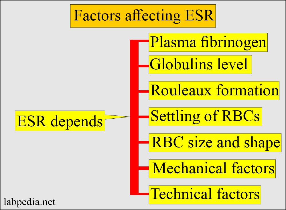 Factors affecting ESR 