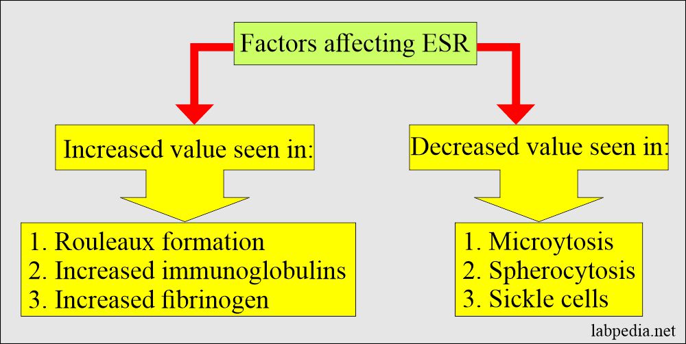 Erythrocyte Sedimentation Rate (ESR): Factors affecting ESR 