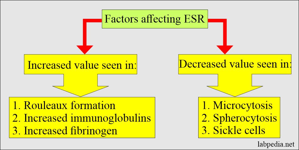 Factors affecting ESR