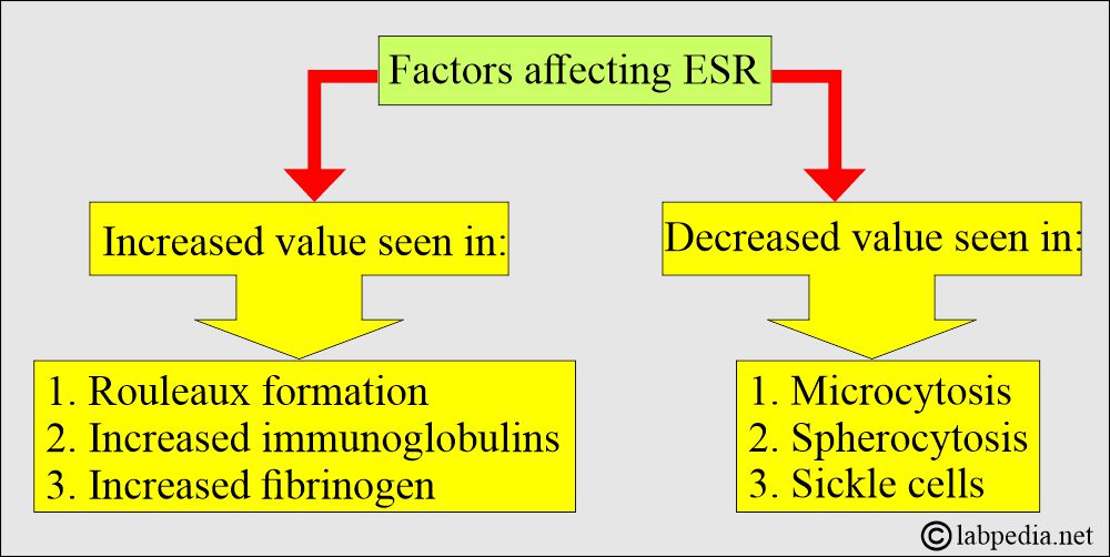 ESR raised due to factors
