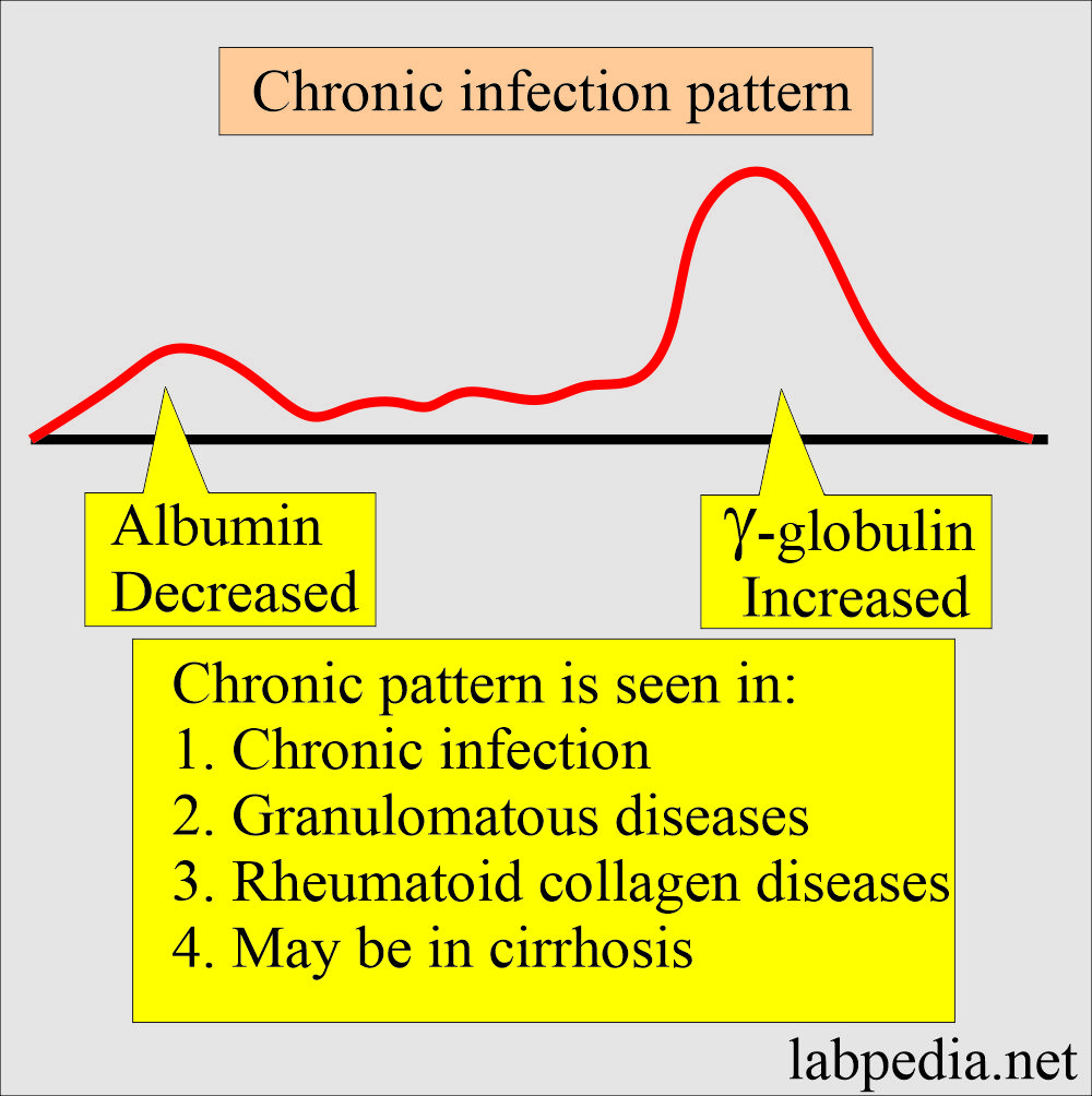 Electrophoresis chronic pattern