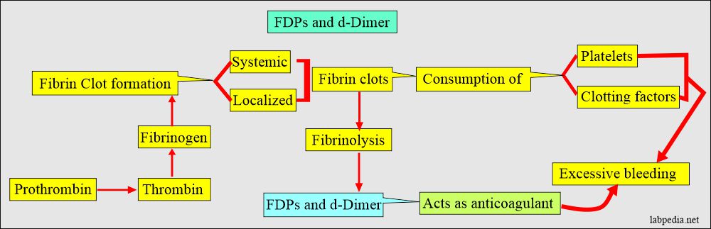 FDPs and d-Dimer formation and consequences