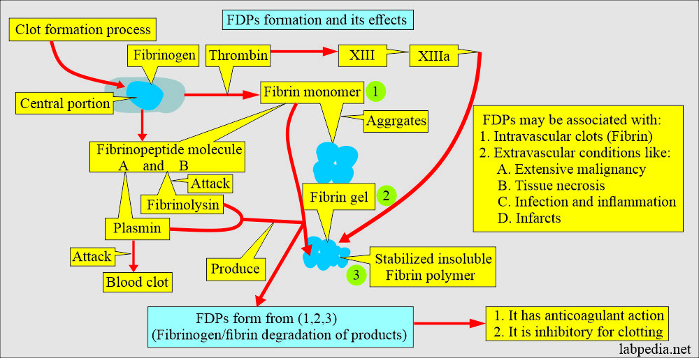 FDPs formation and effects