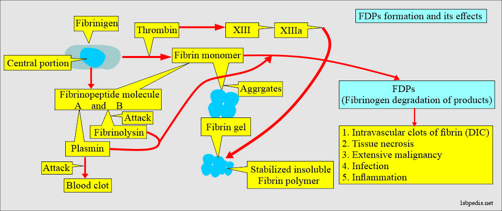 Fibrinogen Degradation Products (FDPs), Fibrin split products (FSP), and d-Dimer