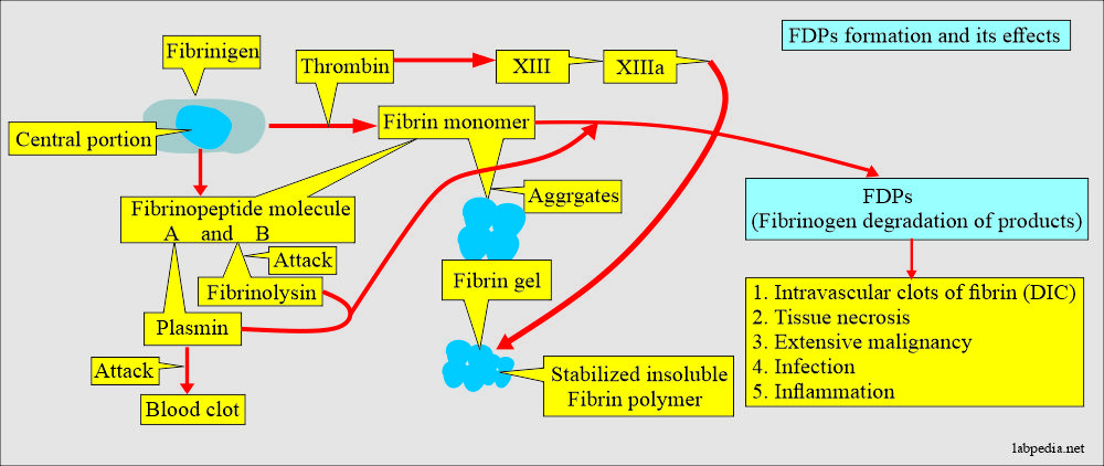 Hematology 7993