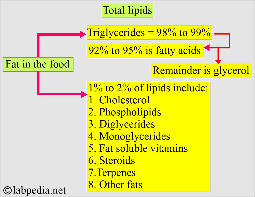 Fat in food composition Fat in food composition