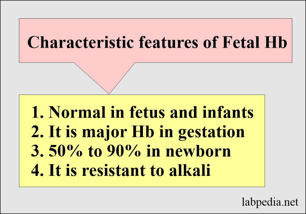 Fetal Hb characteristic features