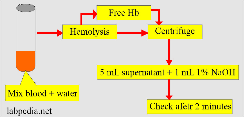 Fetal Hb procedure