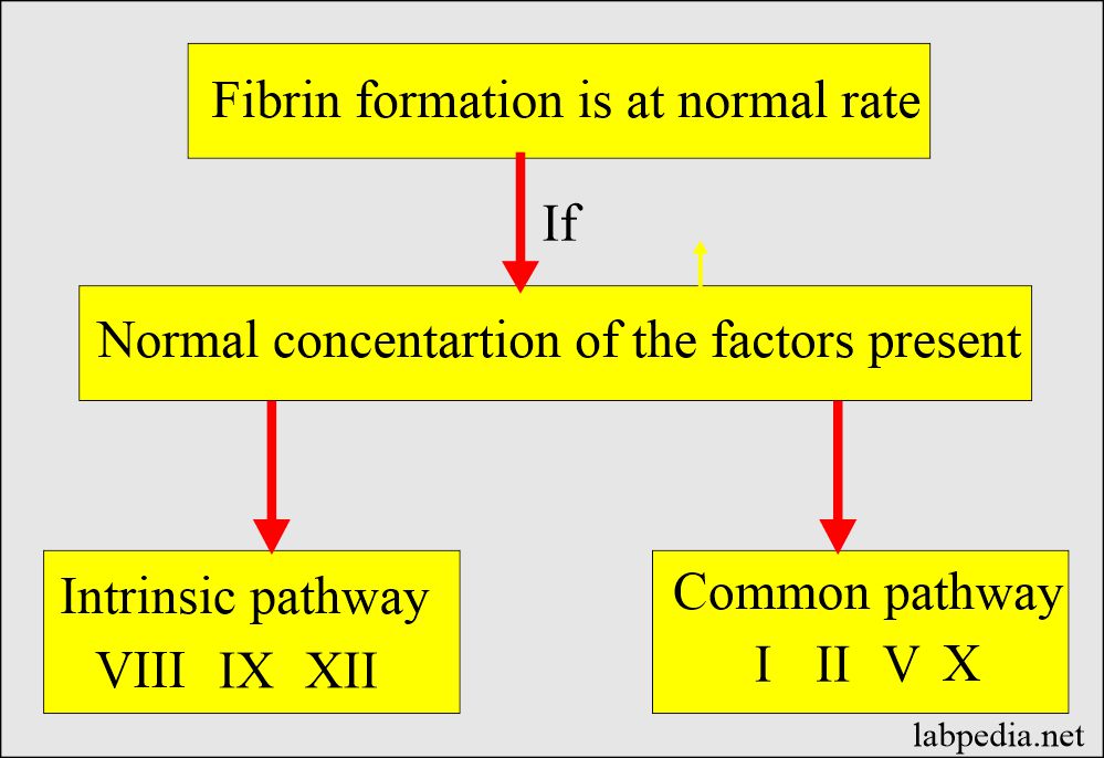 Fibrin clot formation depends upon the factors