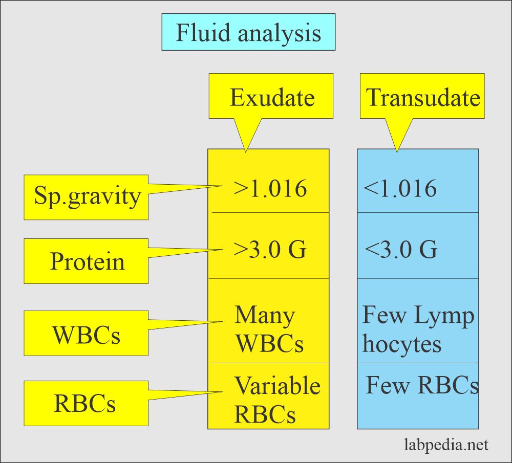 Fluid analysis: Fluid exudate/transudate difference