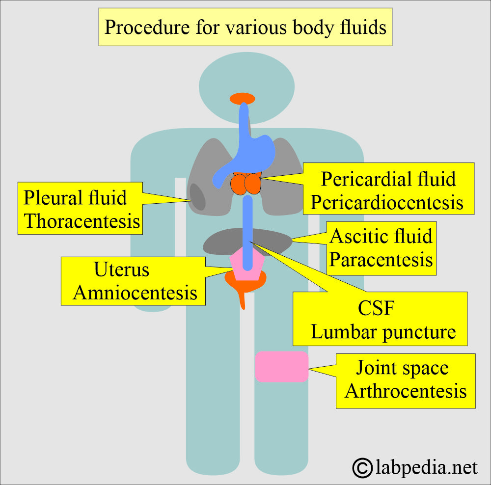 Fluids and various procedures