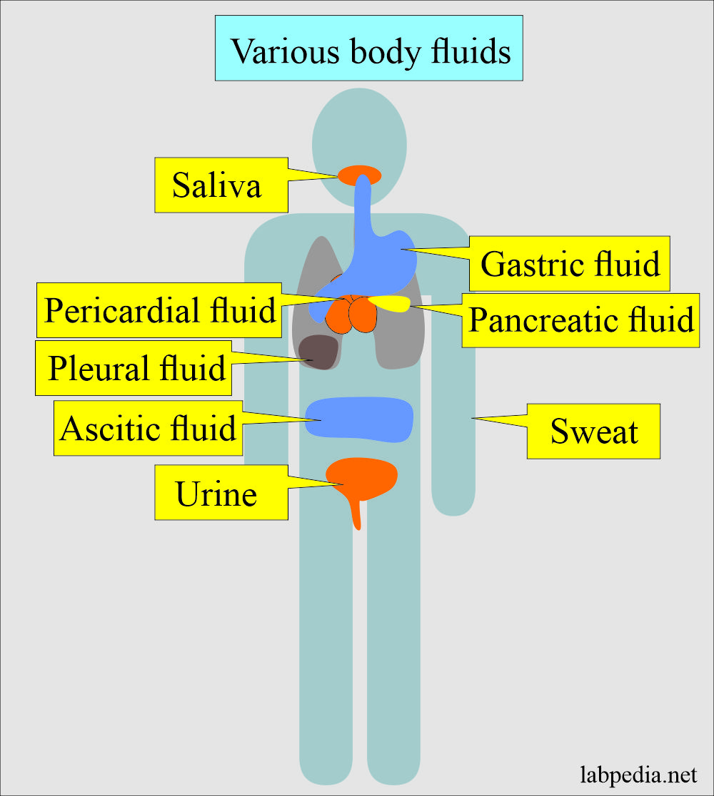 Body fluids of various sites