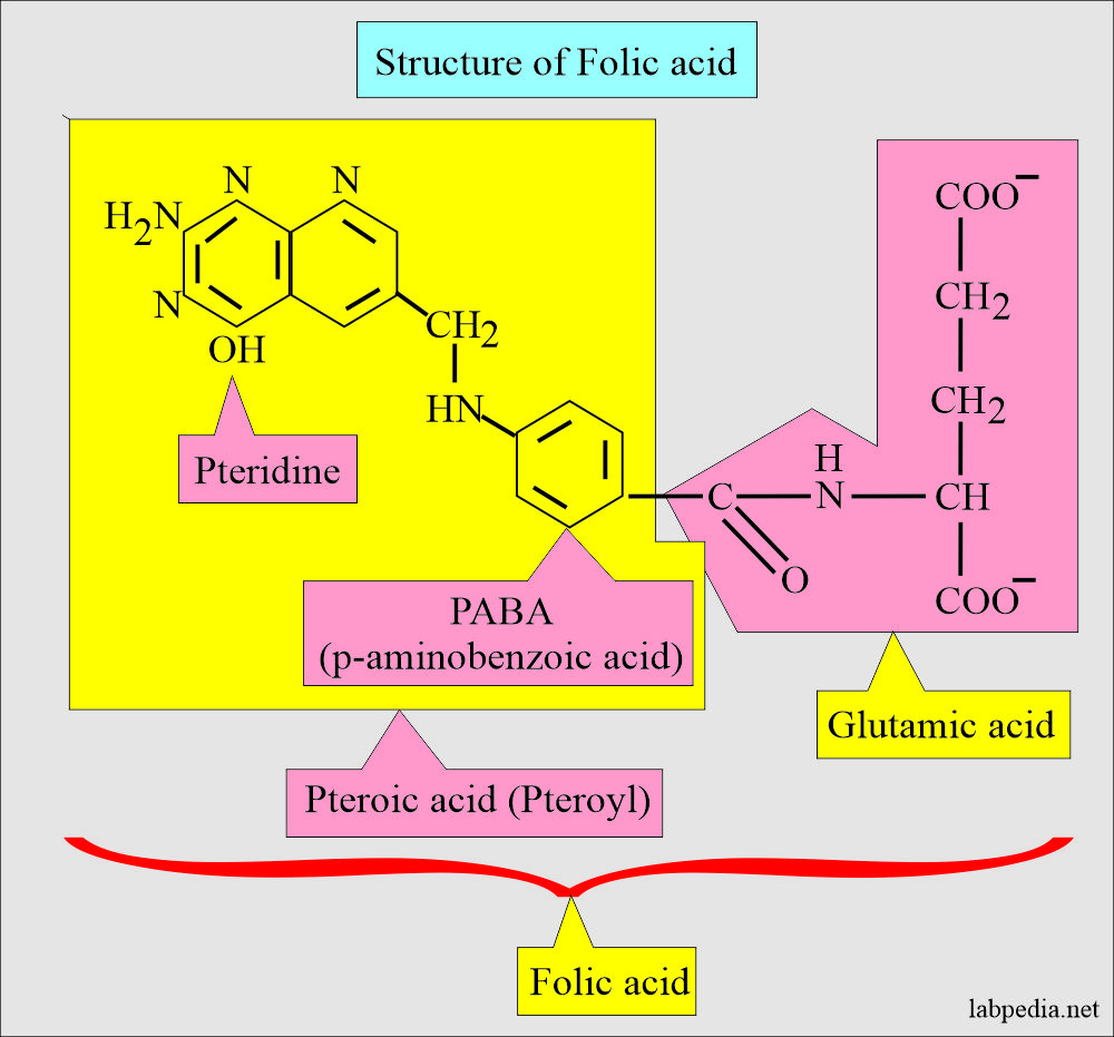 Folic acid detailed structure